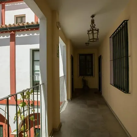 Vidrio Deluxe * Seville
