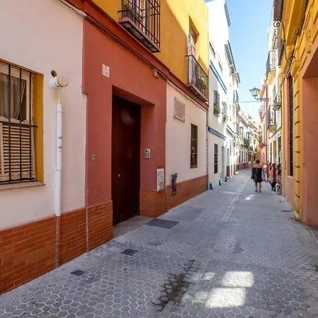Vidrio Deluxe * Seville